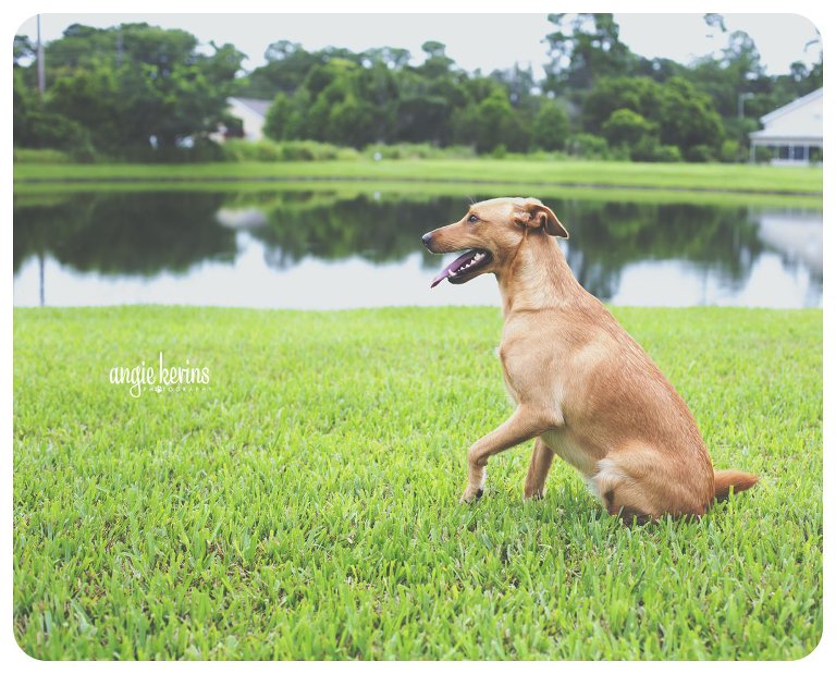 Beautiful Shelby, posing for the camera in her backyard