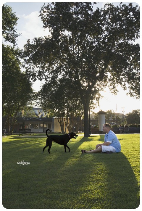 Black dog playing fetch at the Farmer's Market in Winter Park