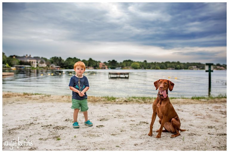Central Florida dog photographer Vizsla at Lake Brantley