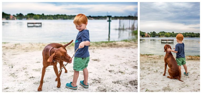 Central Florida dog photographer Vizsla at Lake Brantley 2