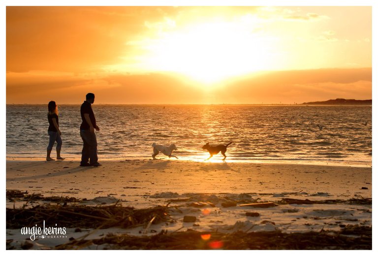 Central Florida Dog Photography