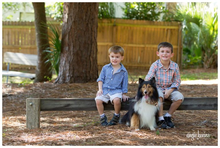 Central Florida Dog photography