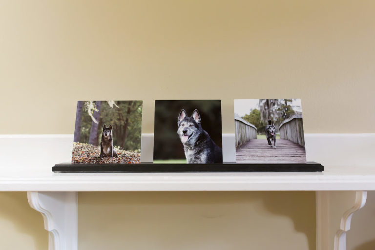 Angie Kerins Photography Shelf Display 1