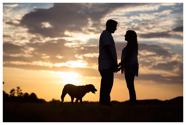 Avalon Park Dog Photographer